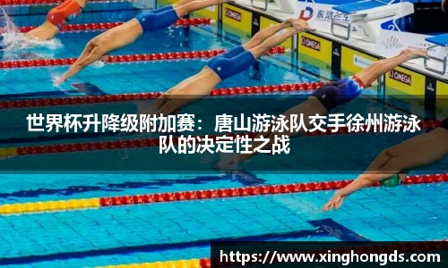BG大游官网